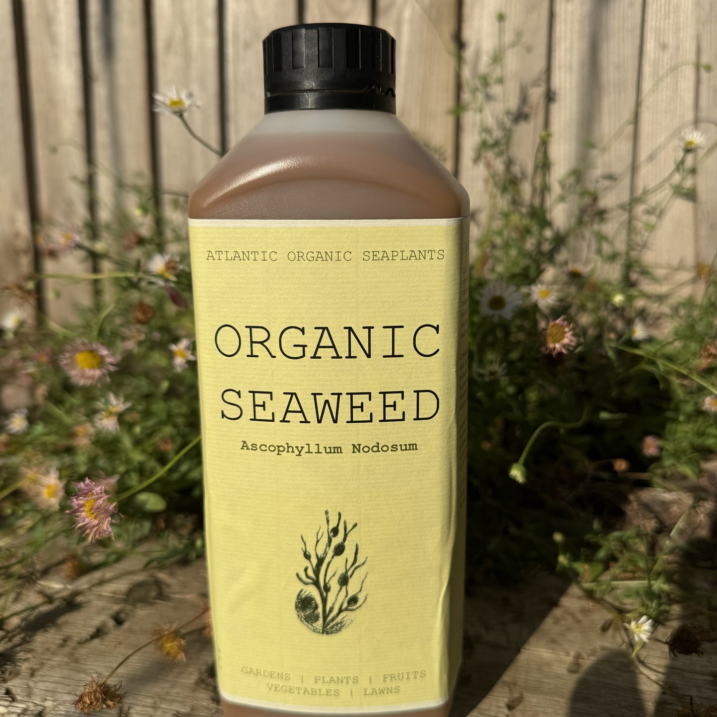 Organic Seaweed Biofertiliser