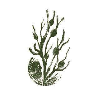 Atlantic Organic